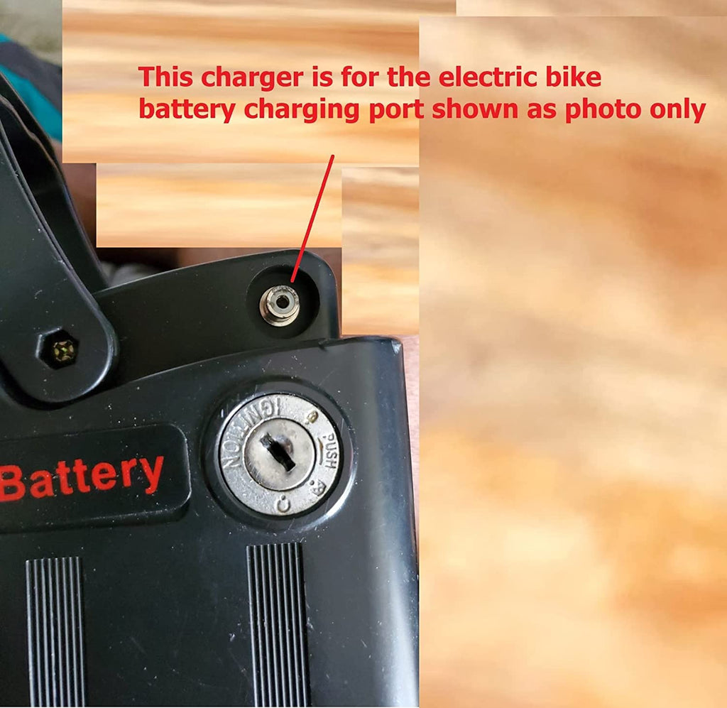 42V 2A Fast Charger X46739