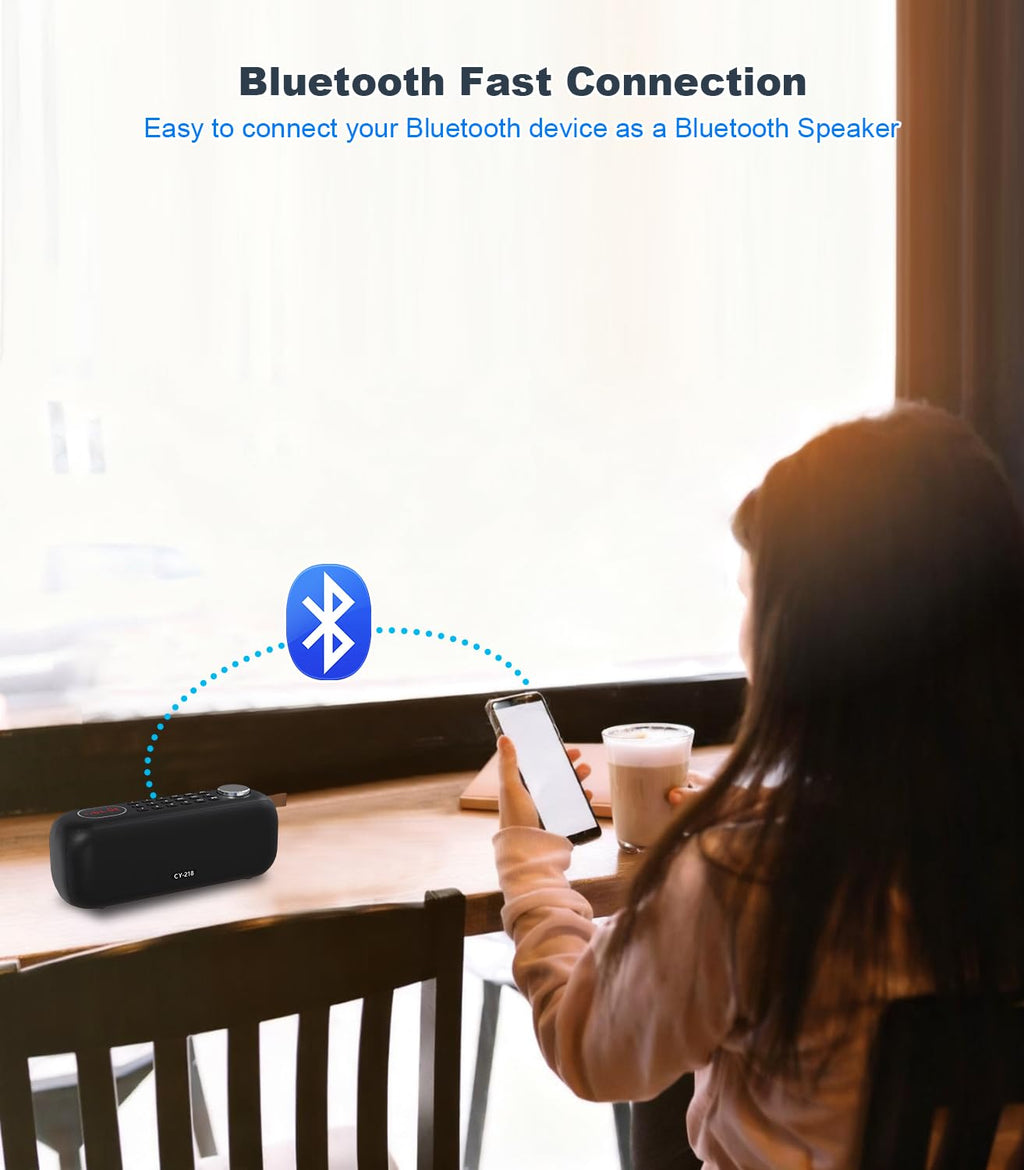 Portable Bluetooth Speaker FM Radio 10W C993