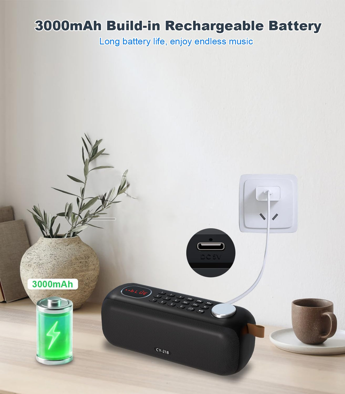 Portable Bluetooth Speaker FM Radio 10W C993
