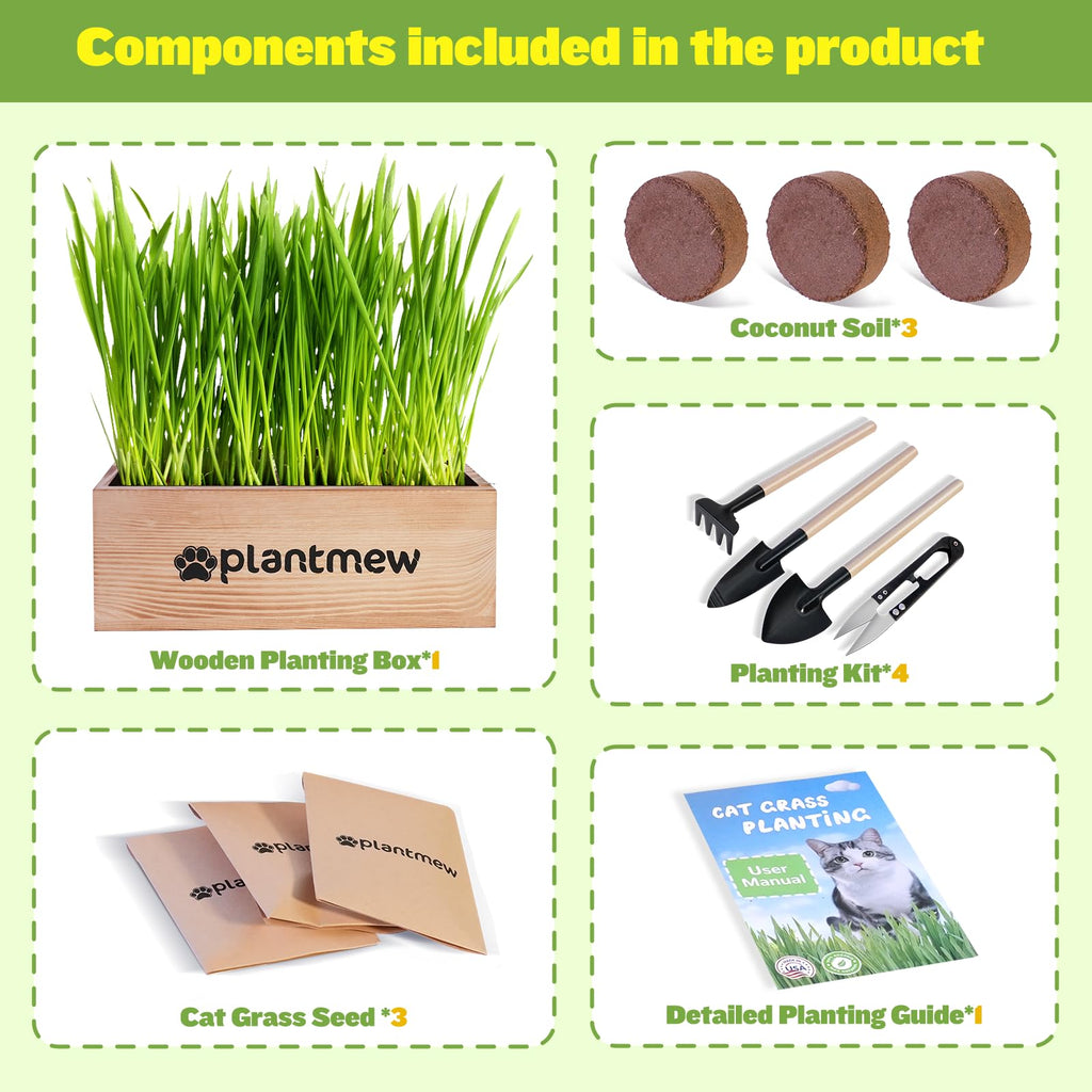 Cat Grass Kit with Seeds, Soil & Planter Pots T66213