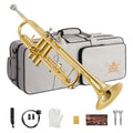 Bb Standard Trumpet Set N59311