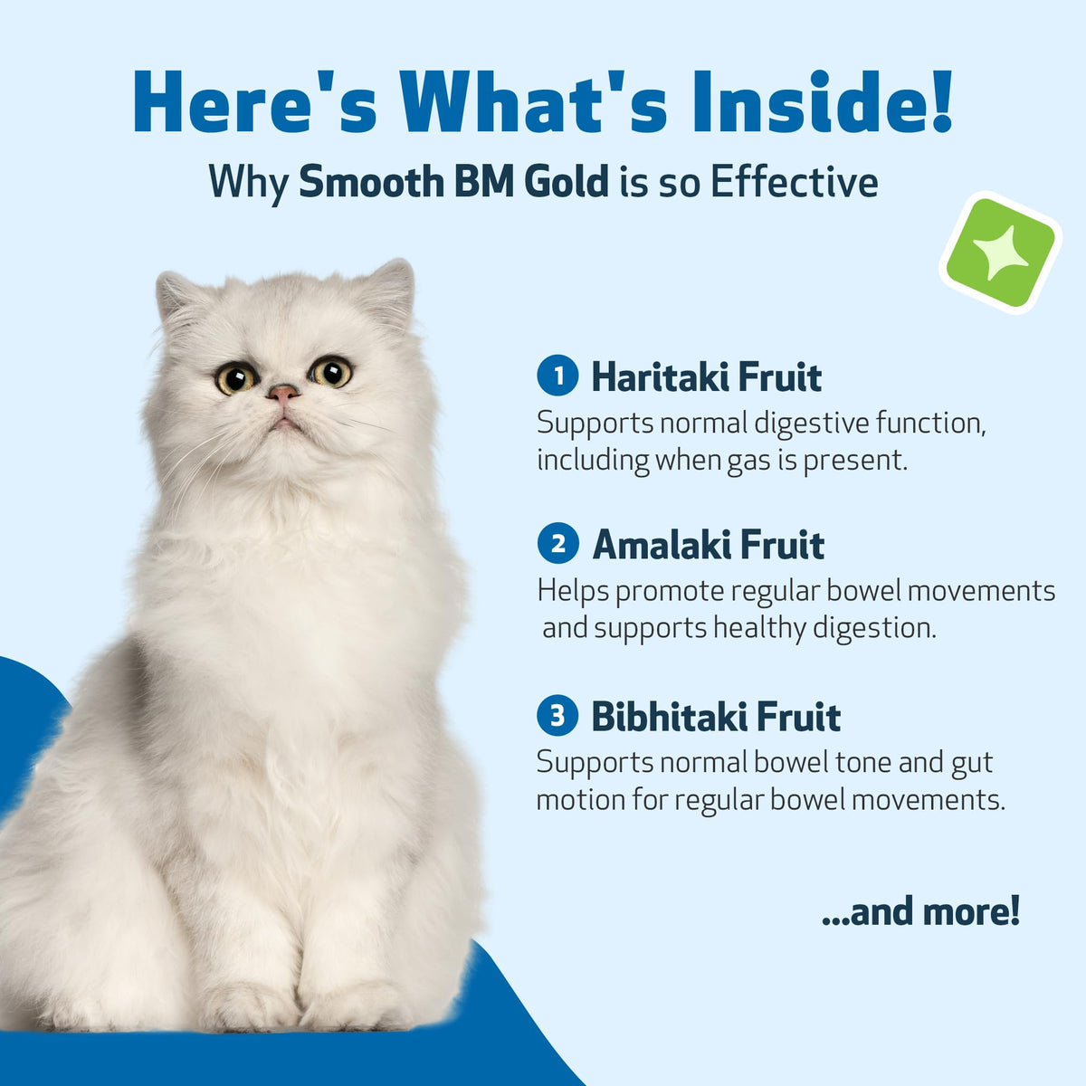 4 oz Cat Bowel Support A6682