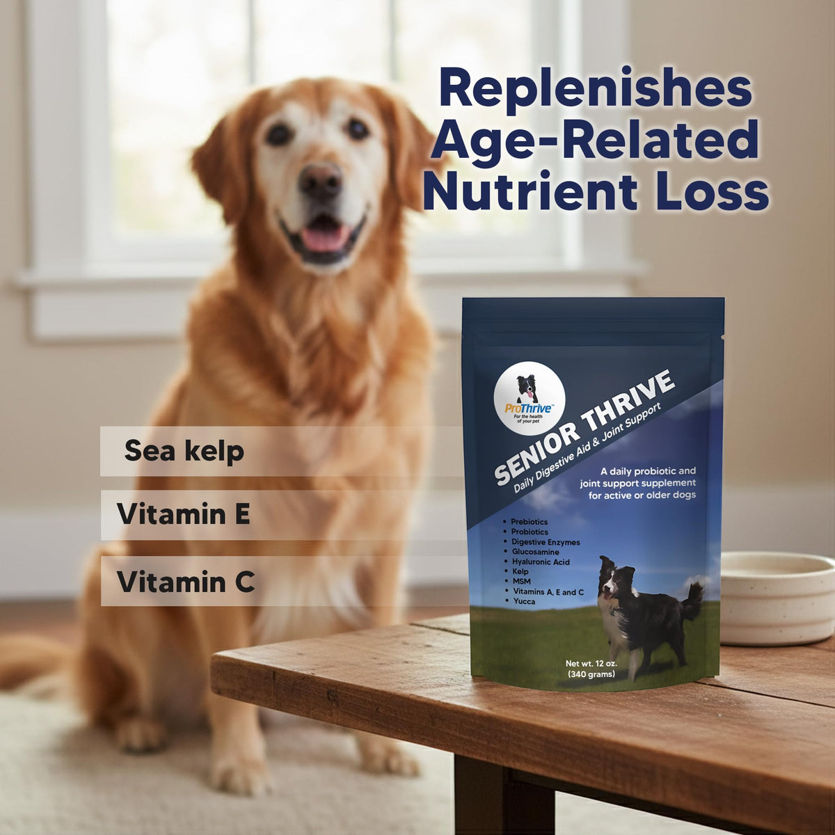 12 Oz Senior Dog Digestive & Joint Supplement L995