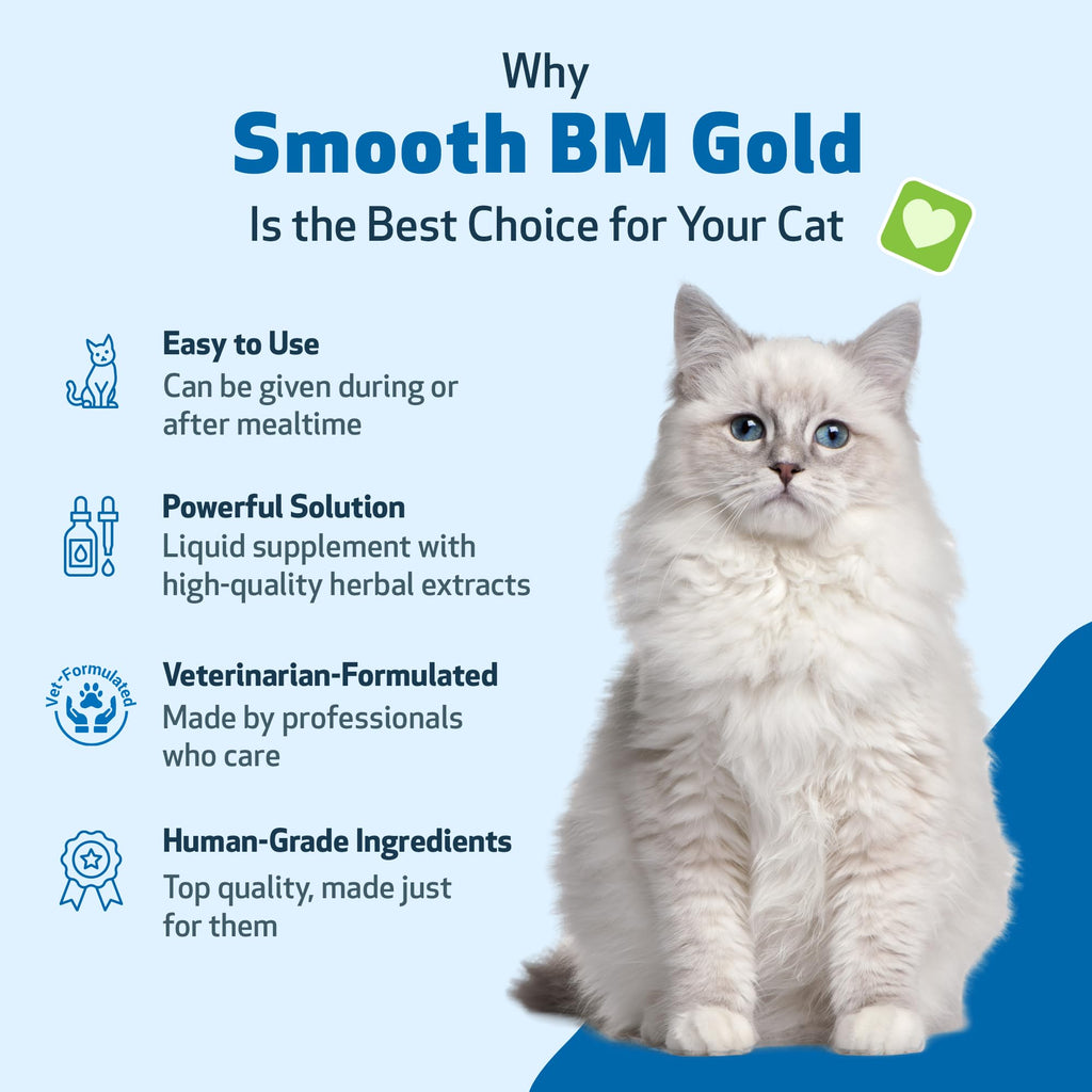 4 oz Cat Bowel Support A6682