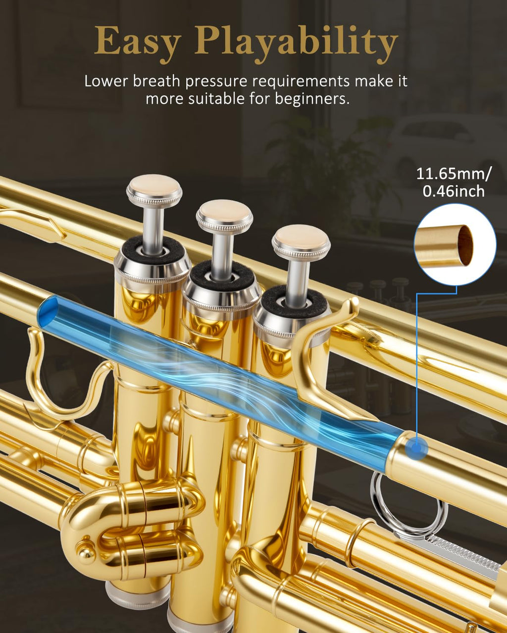 Bb Standard Trumpet Set N59311