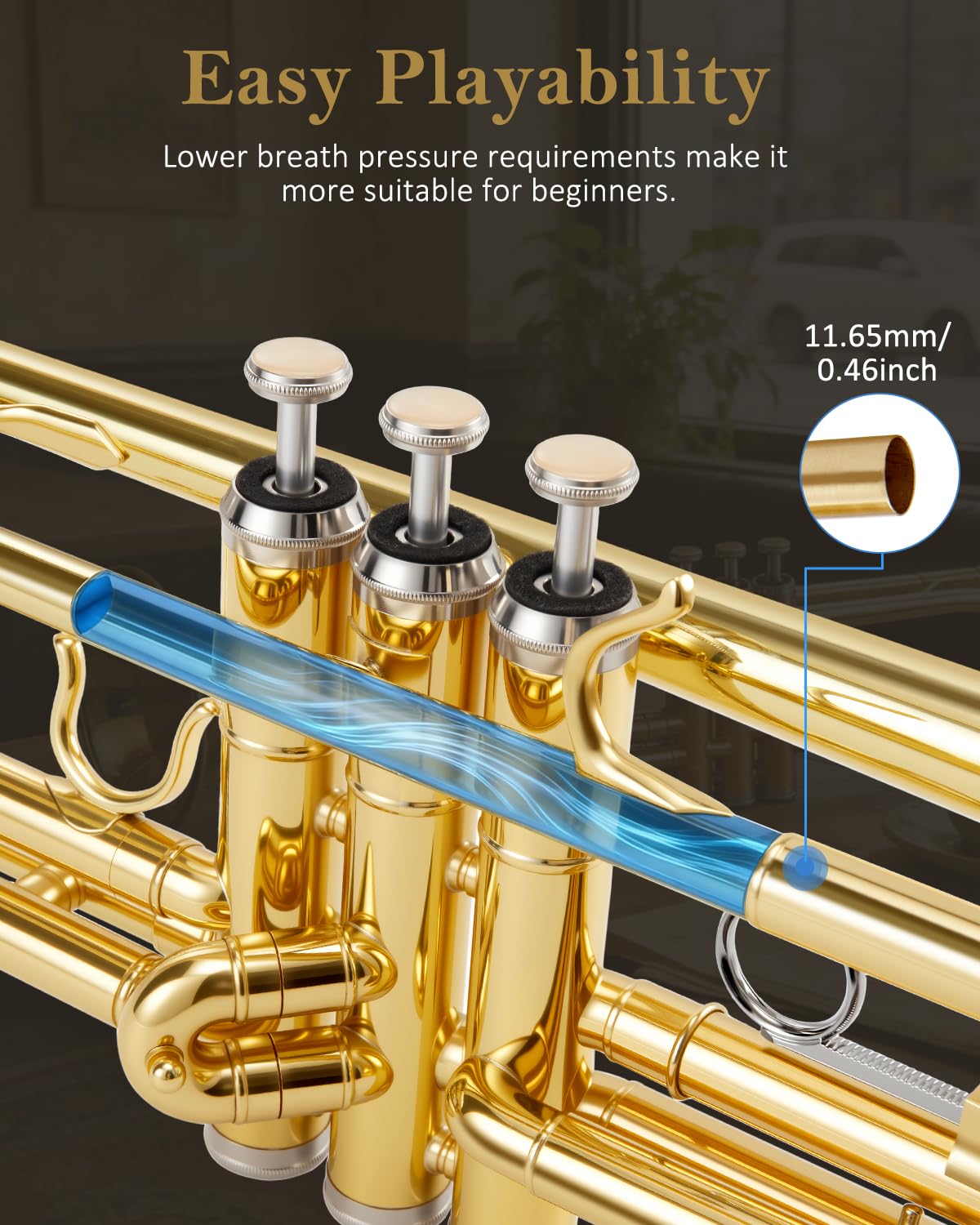 Bb Standard Trumpet Set N59311