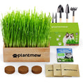 Cat Grass Kit with Seeds, Soil & Planter Pots T66213