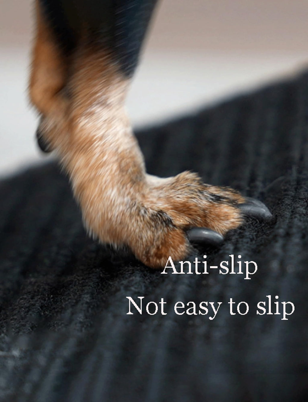 Non-Slip Lightweight Portable Pet Ramp U70925