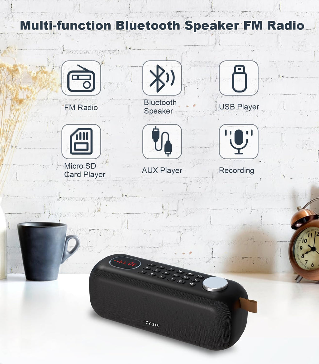 Portable Bluetooth Speaker FM Radio 10W C993
