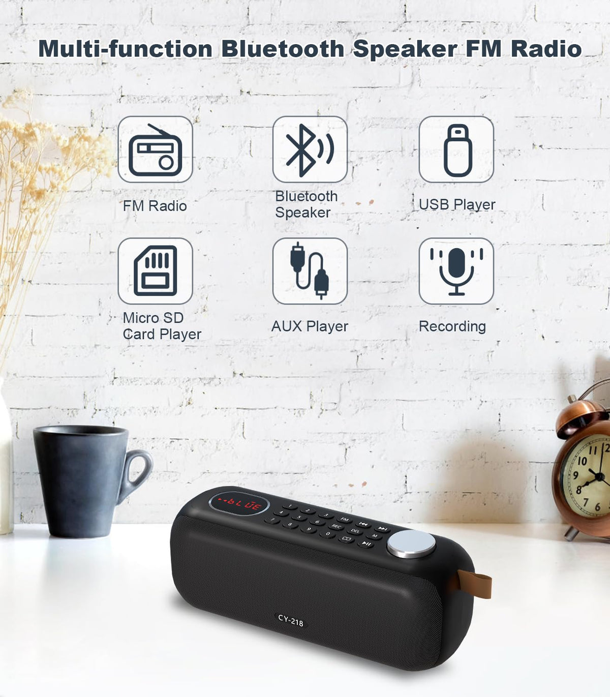 Portable Bluetooth Speaker FM Radio 10W C993