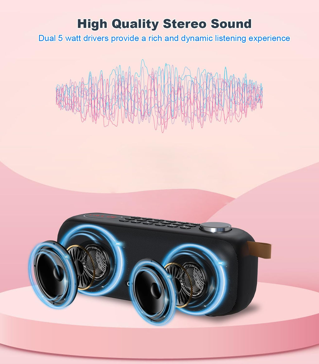 Portable Bluetooth Speaker FM Radio 10W C993