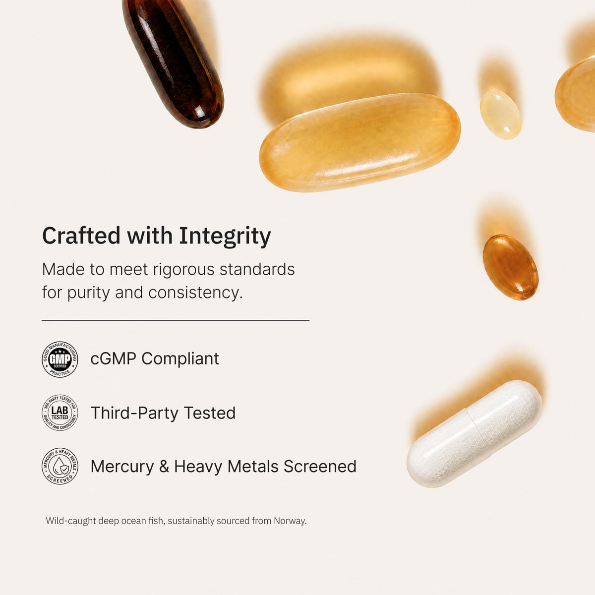 Omega-3 Fish Oil 4200mg 240 Softgels L245009