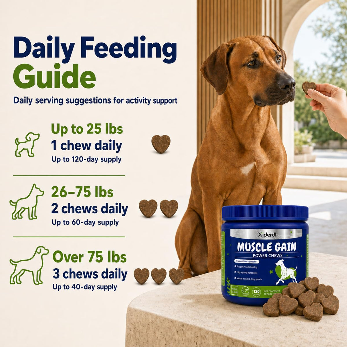 High Protein Muscle Support Soft Chews for Dogs, 120 Count I611054