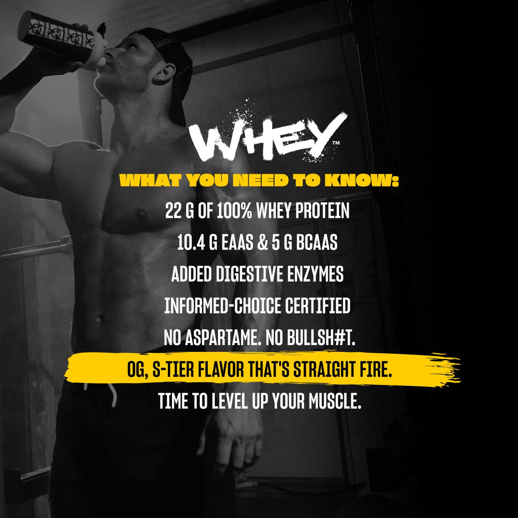 Whey Protein Powder Triple Chocolate 5 lb O3308