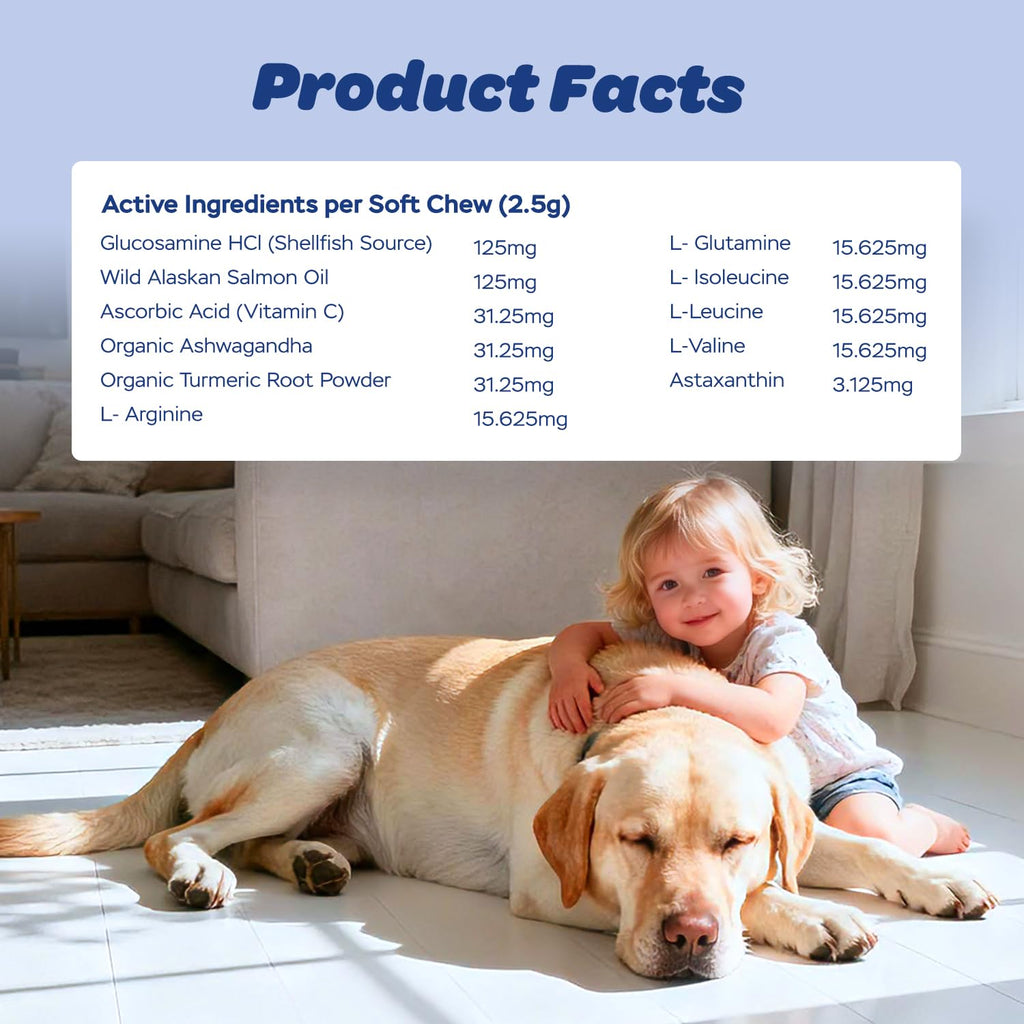 High Protein Muscle Support Soft Chews for Dogs, 120 Count I611054