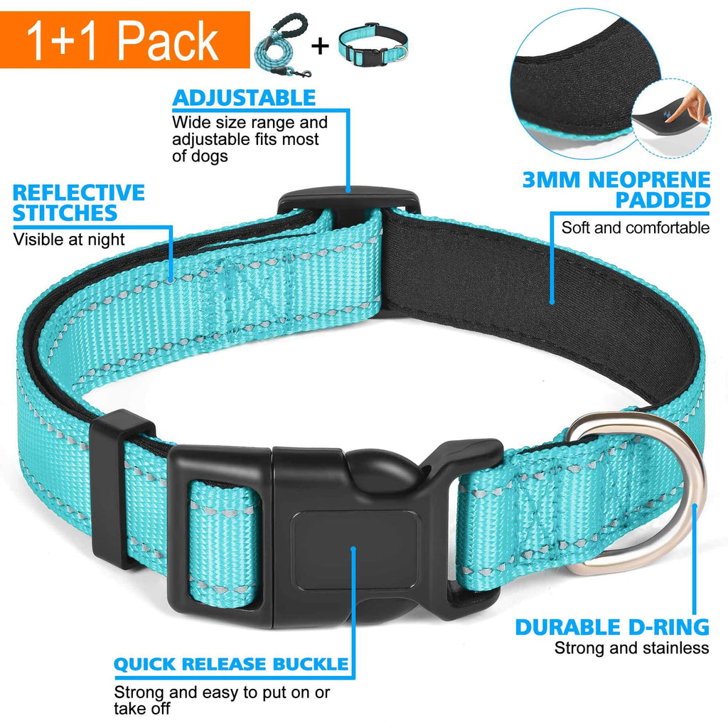 Reflective Padded Dog Collar with Neoprene, Medium, Turquoise Y12226