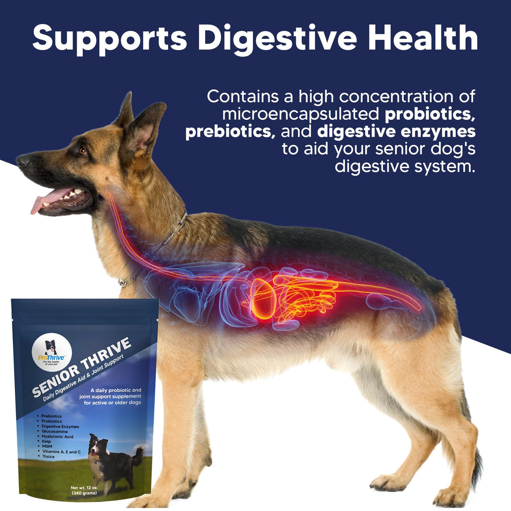 12 Oz Senior Dog Digestive & Joint Supplement L995