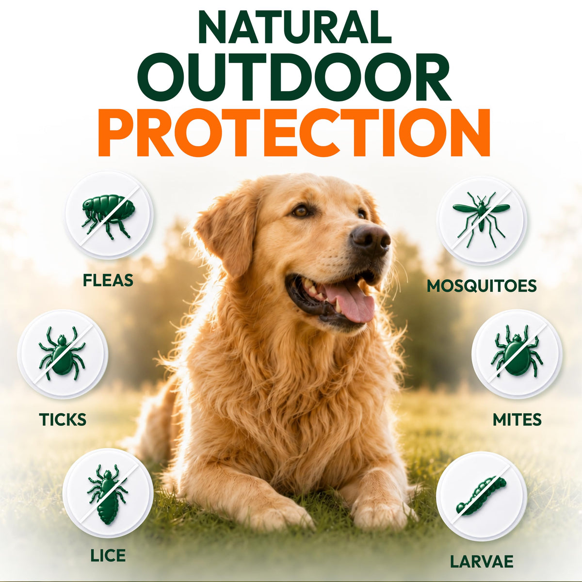 Flea and Tick Prevention for Dogs Chews C691320