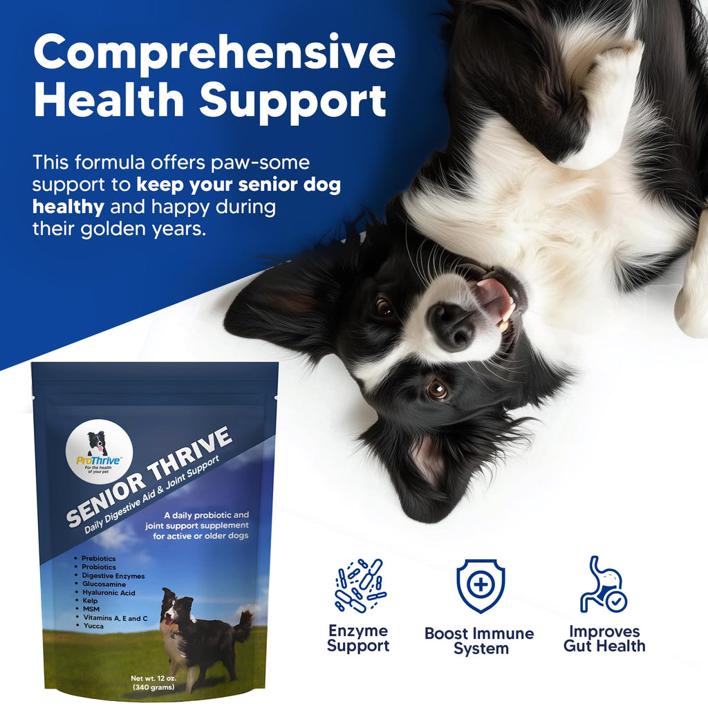 12 Oz Senior Dog Digestive & Joint Supplement L995