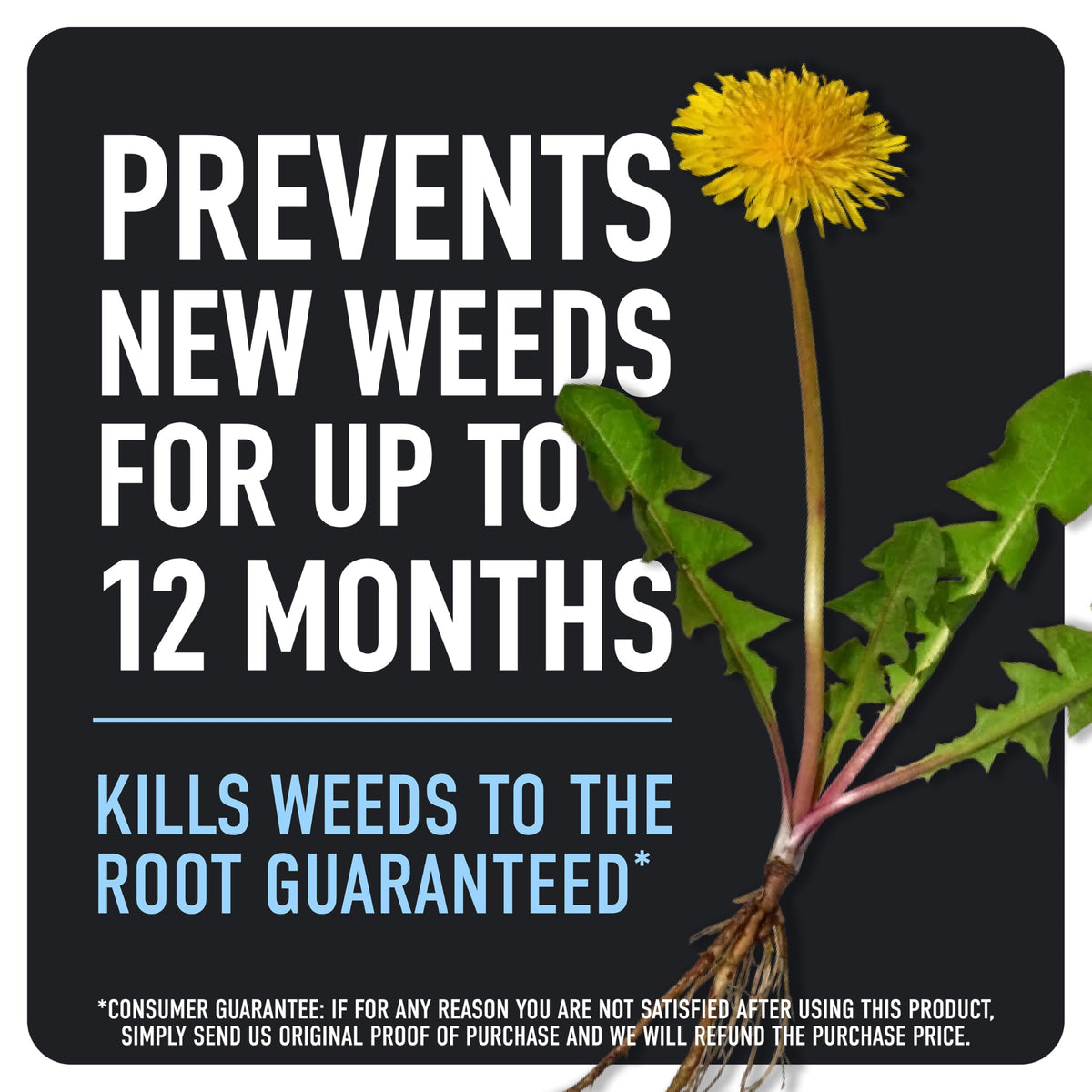 Weed & Grass Killer Plus 12 Month Preventer, 1 gal., Wand (Pack of 4) H6244