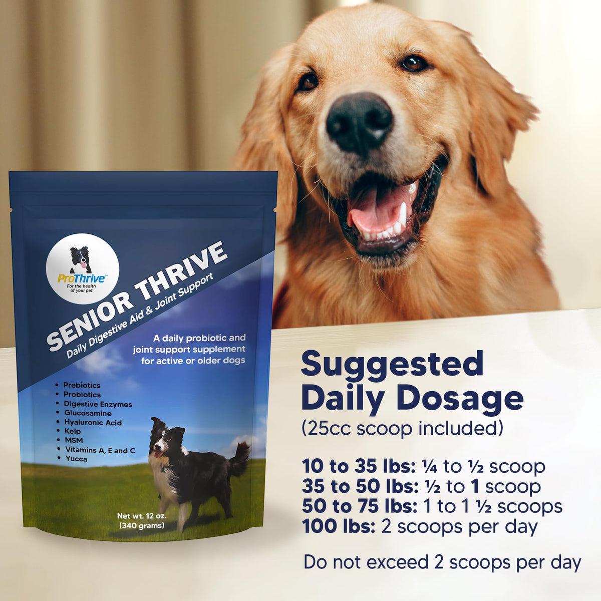12 Oz Senior Dog Digestive & Joint Supplement L995
