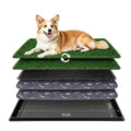 Dog Grass Pad with Tray 30"x20" Q848