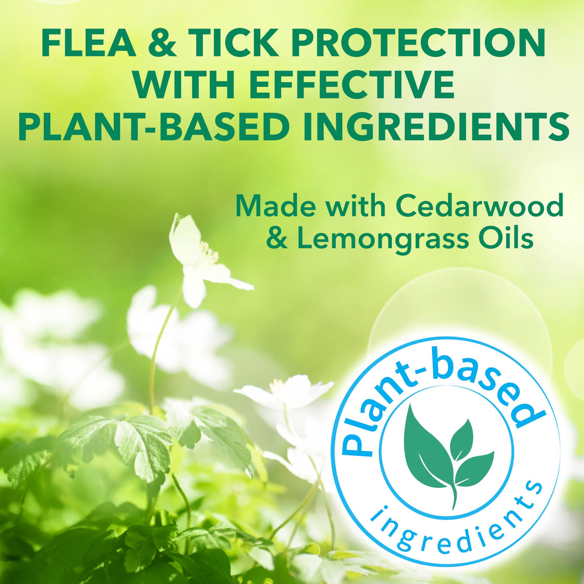 Flea & Tick Spray Treatment for Dogs with Cedarwood and Lemongrass Oil, 14 Ounces D86929