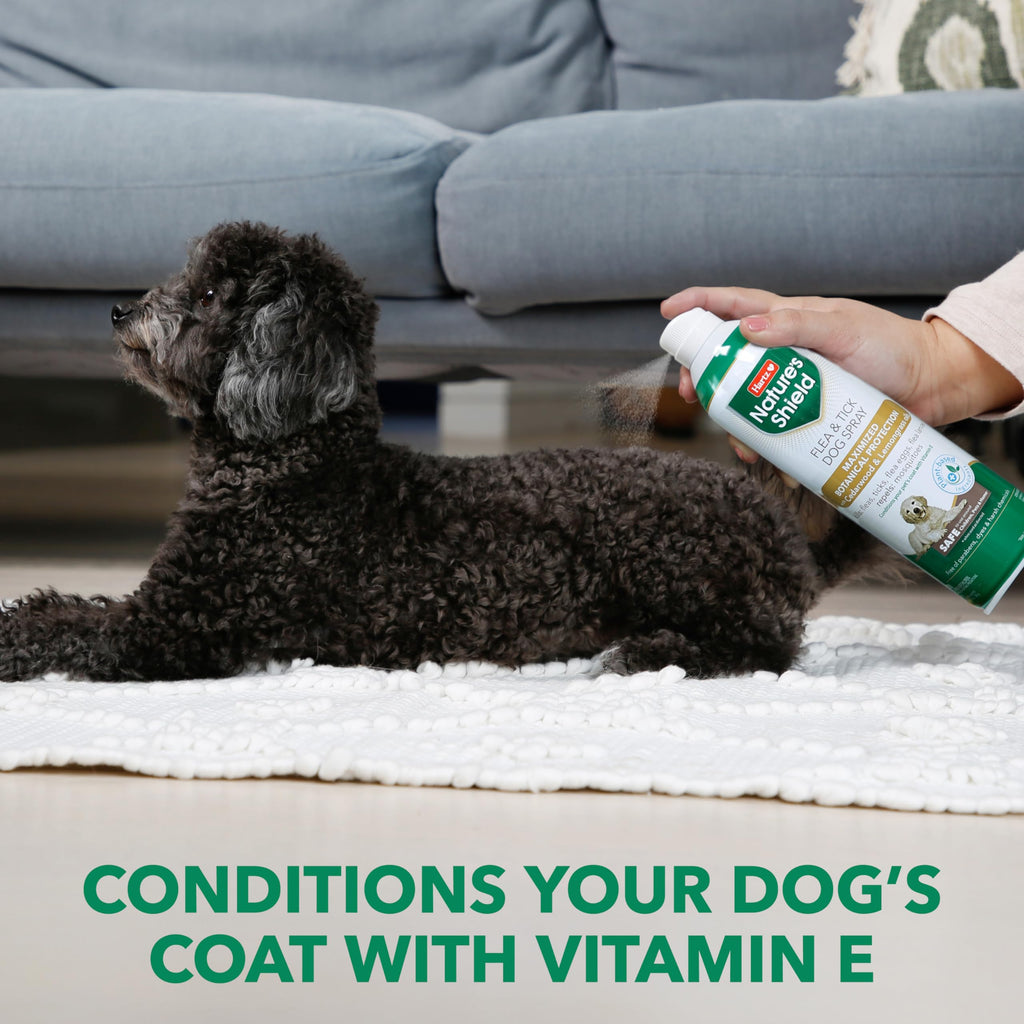 Flea & Tick Spray Treatment for Dogs with Cedarwood and Lemongrass Oil, 14 Ounces D86929
