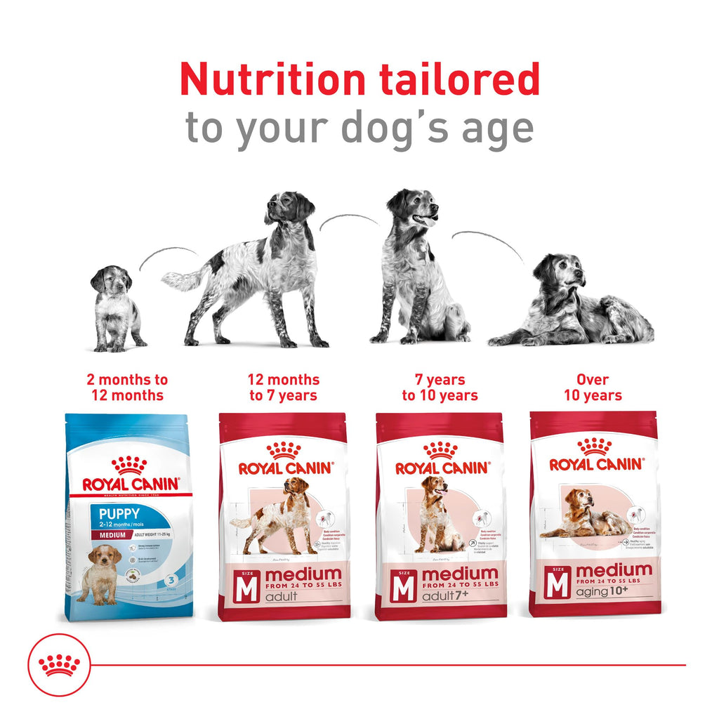 Medium Adult Dry Dog Food, 17 lb Bag W749