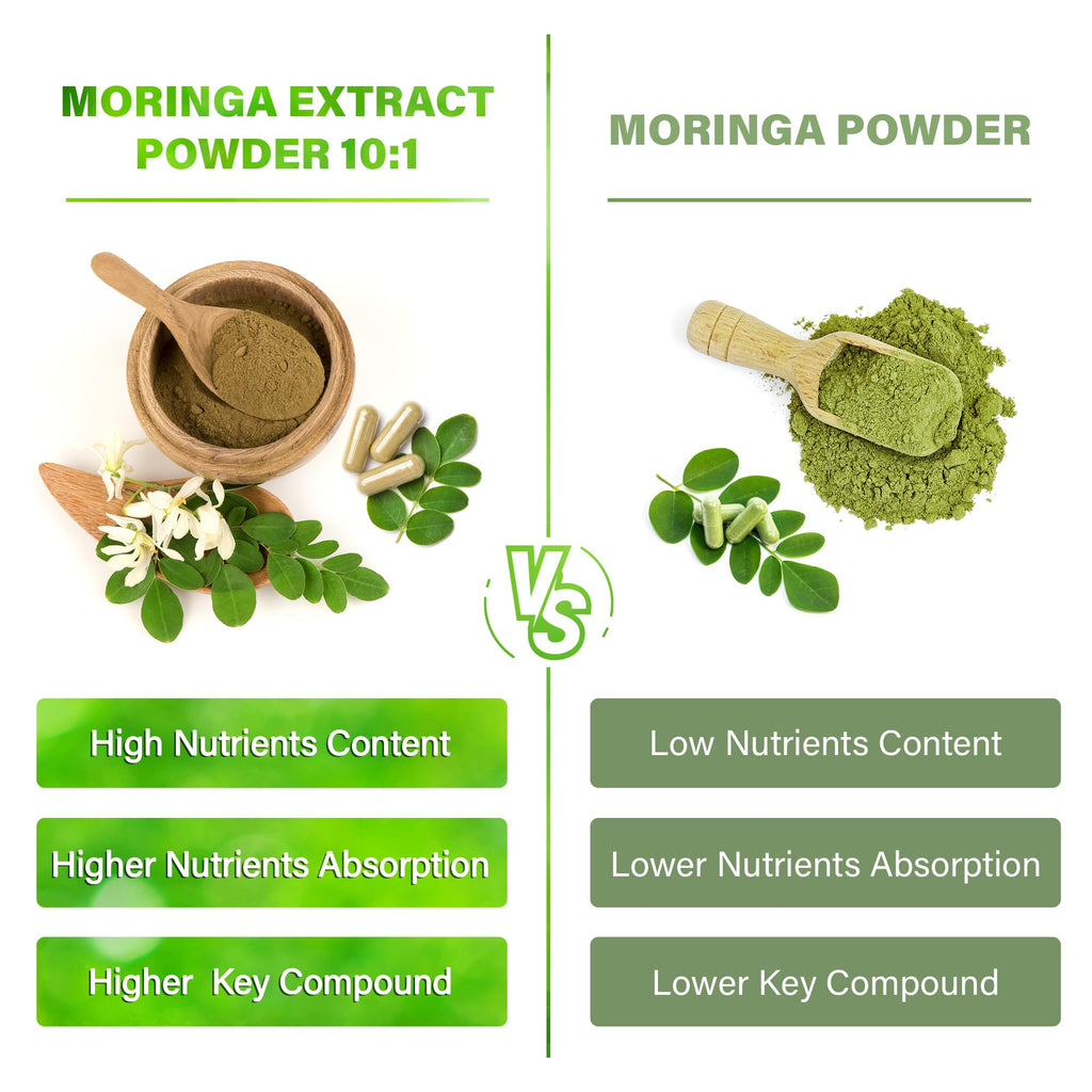 Moringa Oleifera Leaf Extract Capsules 150 Count X361