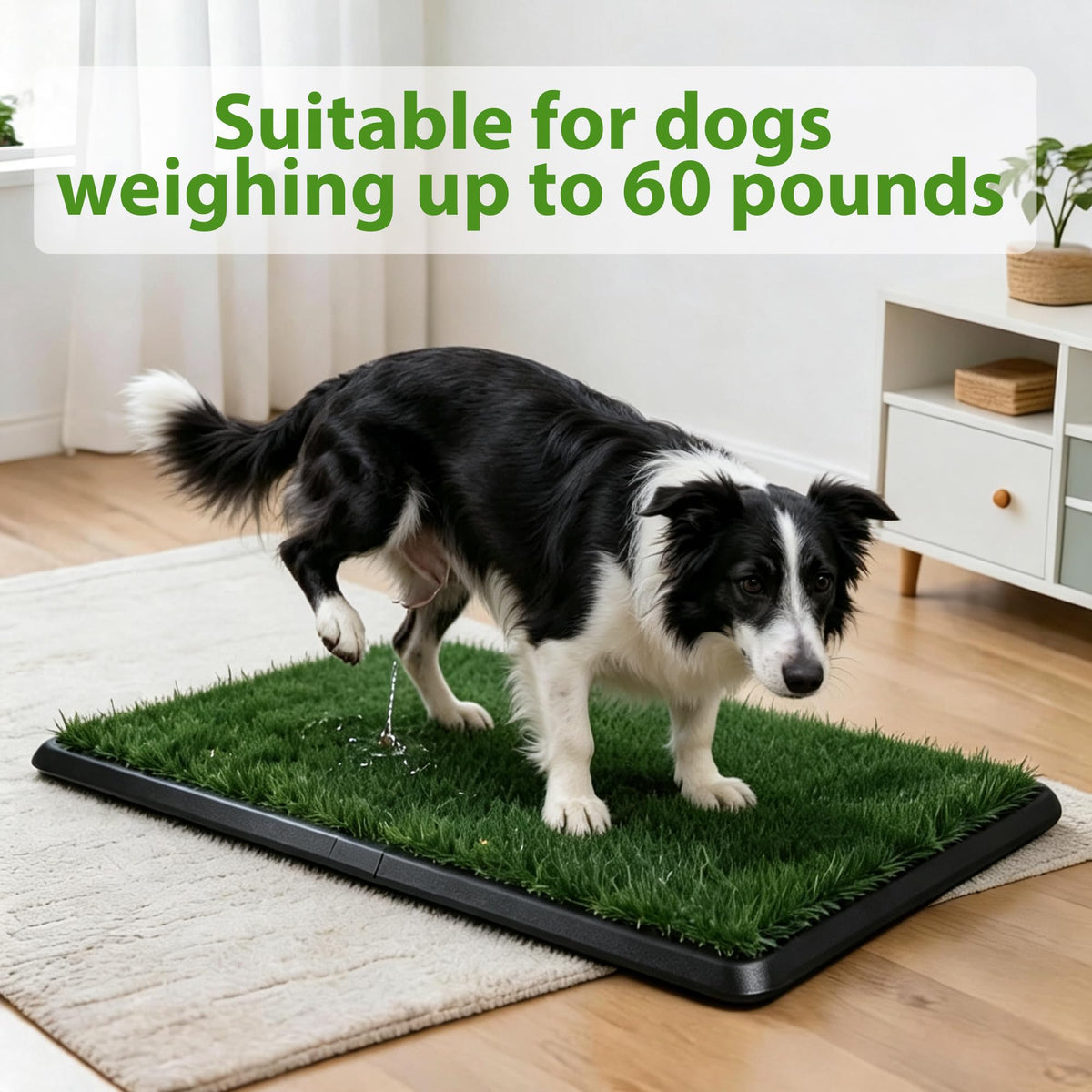 Dog Grass Pad with Tray 30"x20" Q848