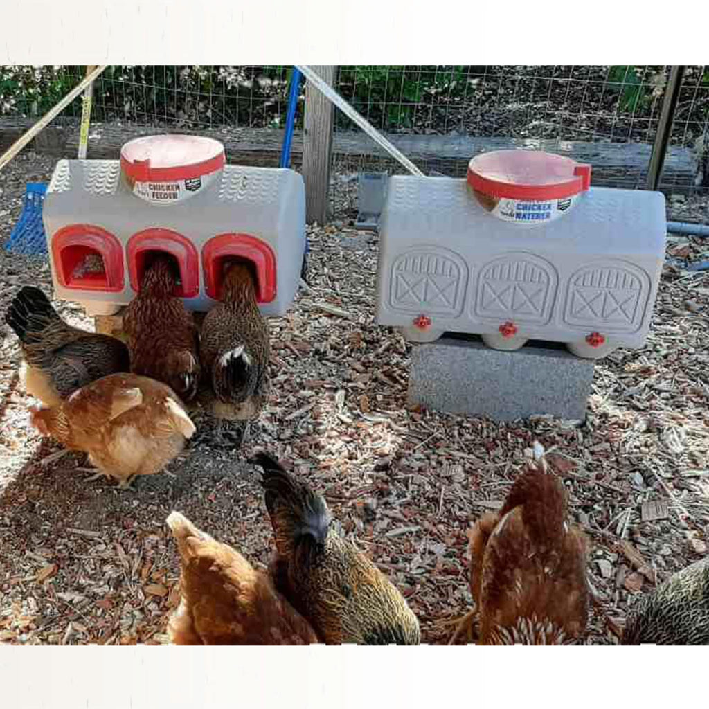 Automatic Chicken Waterer 12 Gallon M39256
