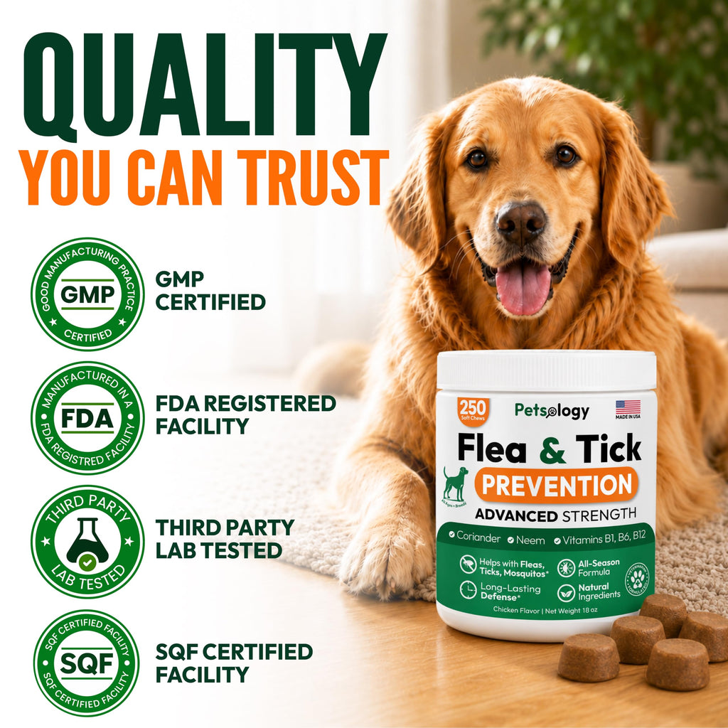 Flea and Tick Prevention for Dogs Chews C691320