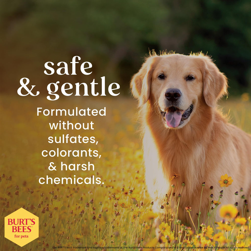 Dog Detangling Spray with Lemon & Linseed 10 Fl Oz V22233