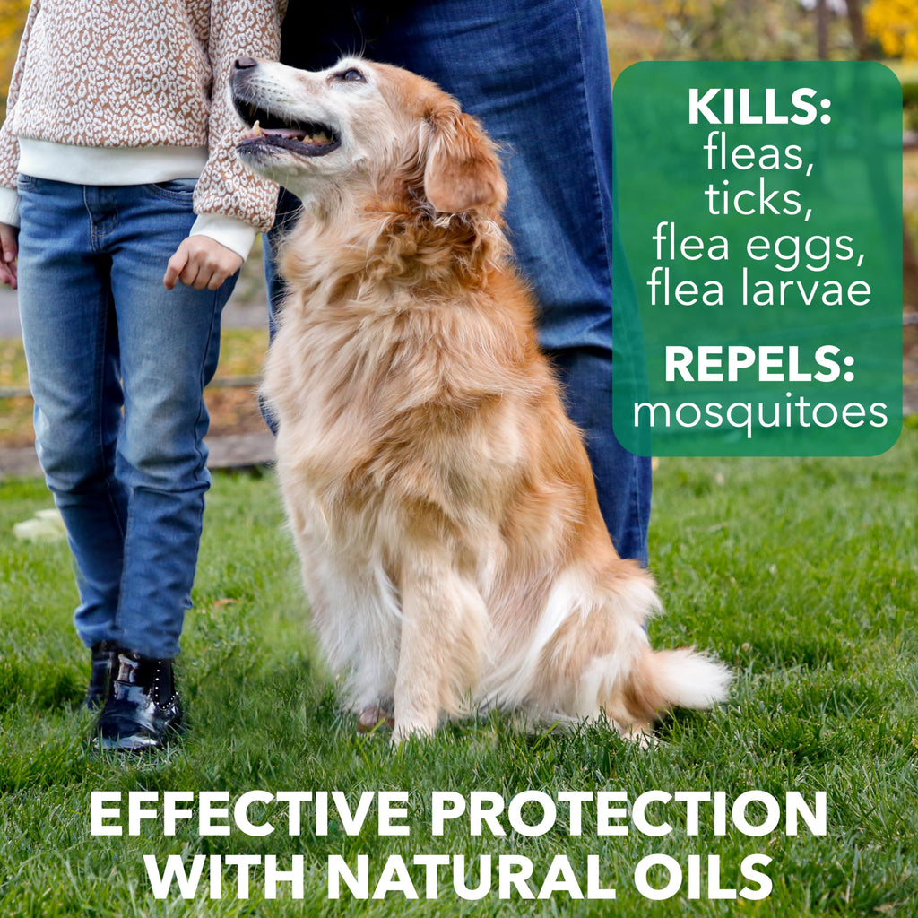 Flea & Tick Spray Treatment for Dogs with Cedarwood and Lemongrass Oil, 14 Ounces D86929