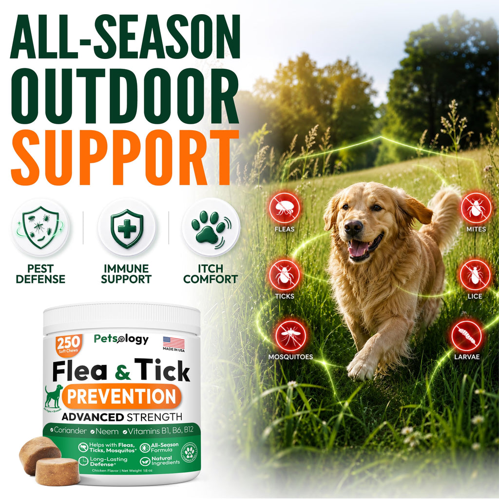 Flea and Tick Prevention for Dogs Chews C691320